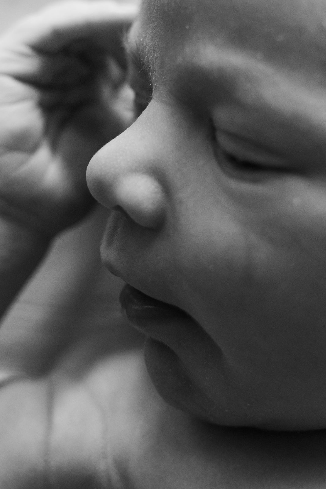 Black and white close-up of a sleeping newborn's face and tiny hand
