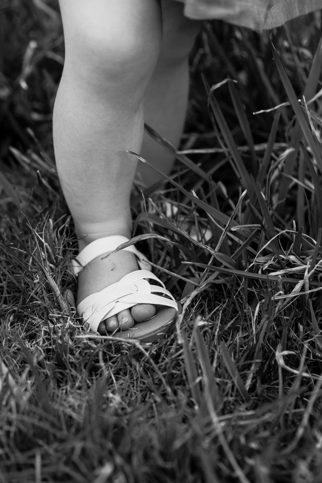 Black and white close-up of a toddler's little sandals in long grass