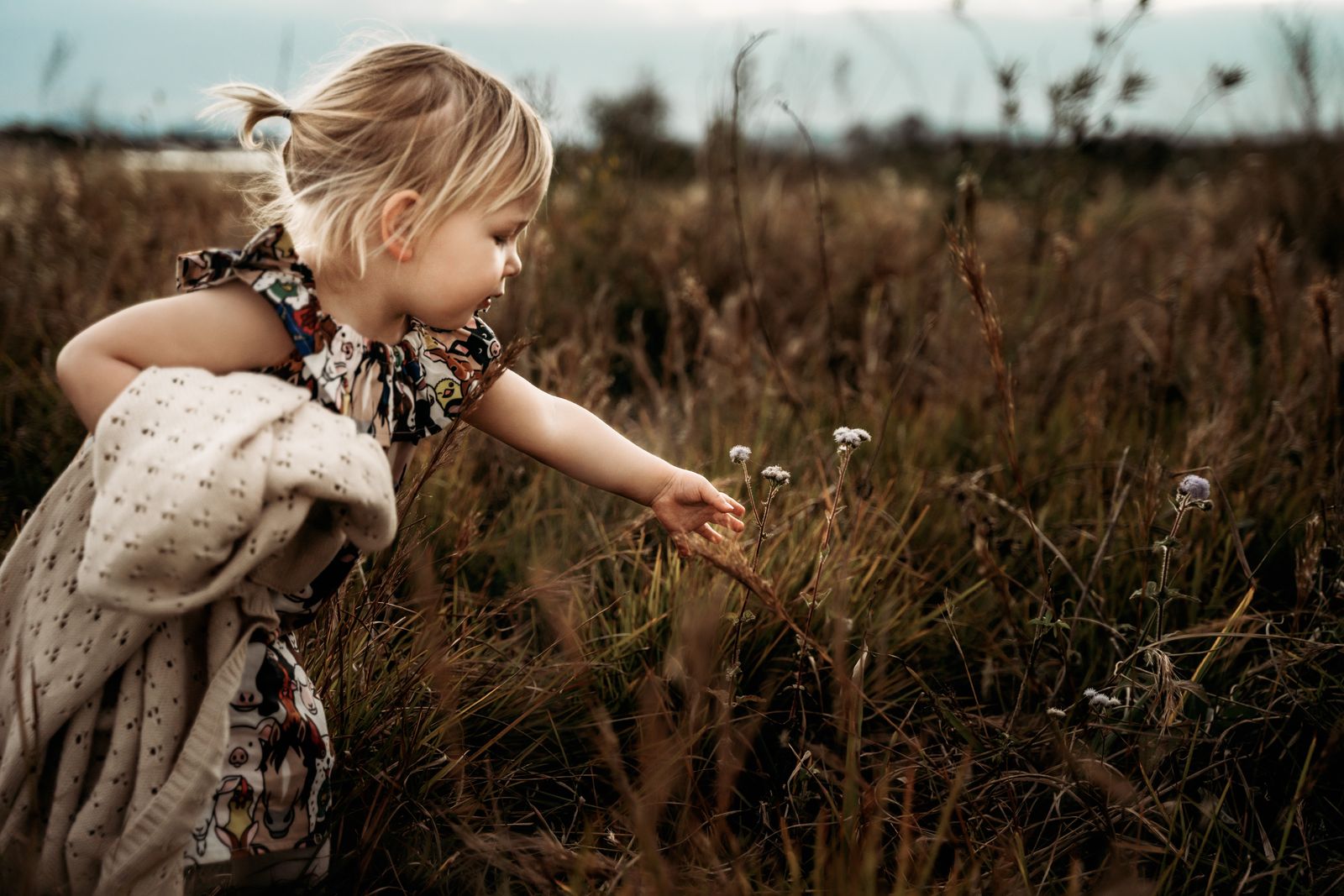 Toddler girl in a floral dress exploring the long golden grass